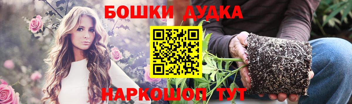 Звенигород  Бошки Шишки OG Kush  Вход с VPN  Шишки марихуана планчик  Бошки Шишки Bruce Banner 